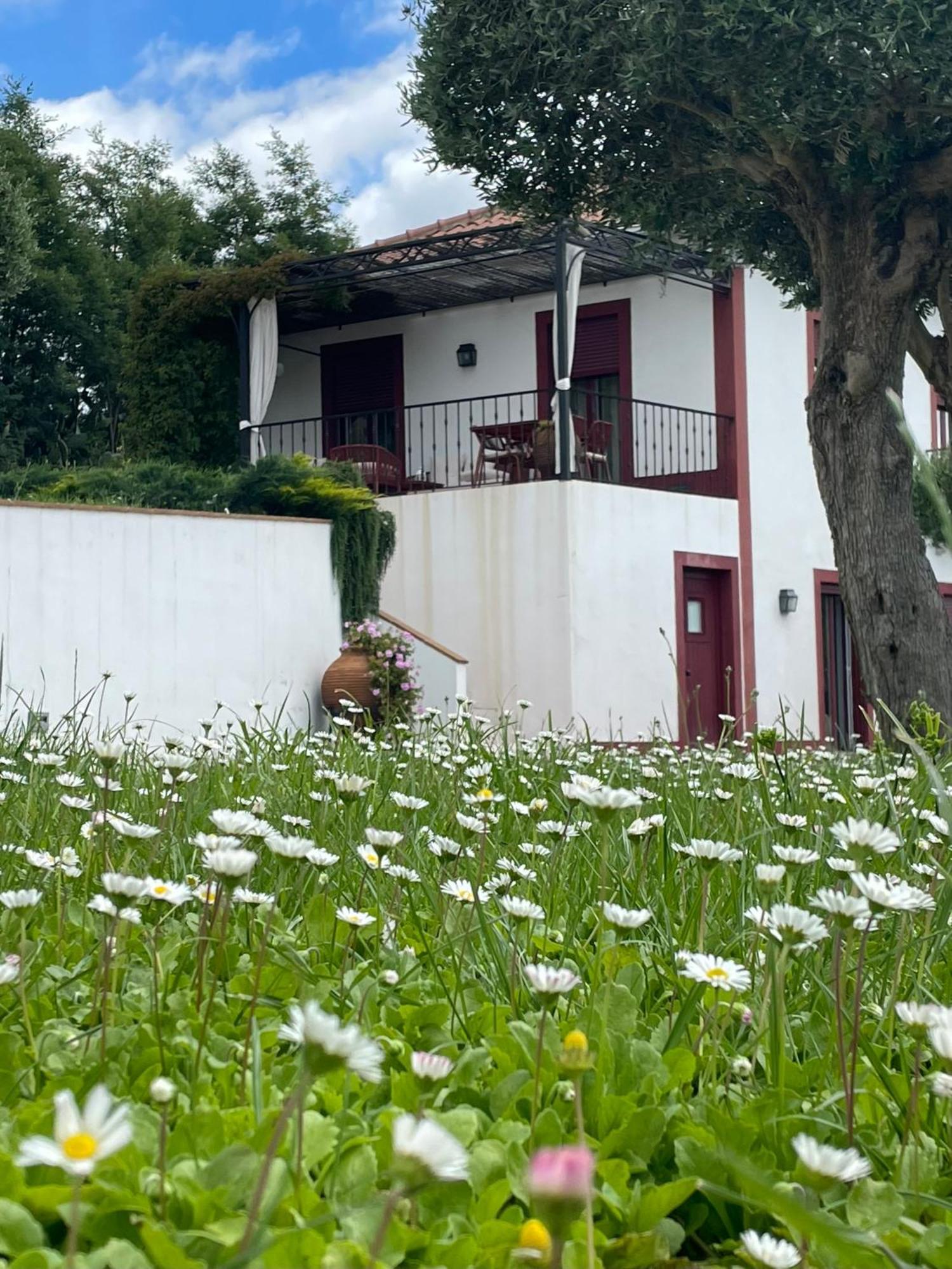 モンテモル・オ・ノボQuinta Da Asneiraアパートメント エクステリア 写真